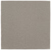 Questep Gray 6x6 Tread Field Tile Textured