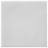 Levante Solano 2x6 Field Tile Matte