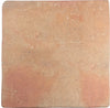Roots Cotto 9x9 Field Tile Matte