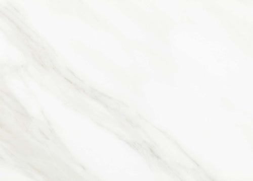 Mirasol Bianco Carrara 10x14 Field Tile Glossy Rectified