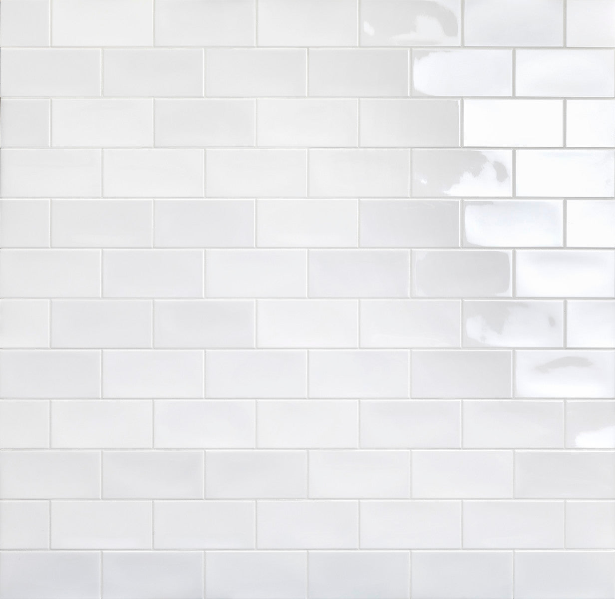 Classics Tide Serene White 4x8 Field Tile Gloss