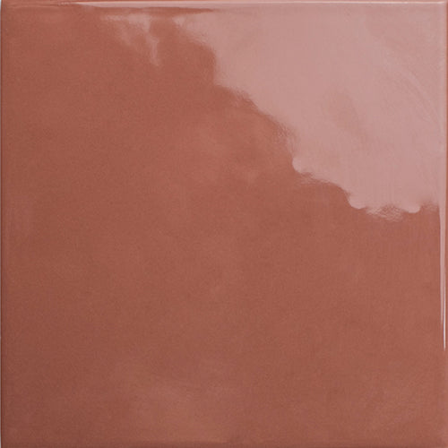 Bits Chestnut 5x5 Field Tile Gloss