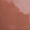 Bits Chestnut 2x5 Field Tile Gloss