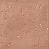 Stardust Cotto 6x6 Pebbles Decorative Tile
