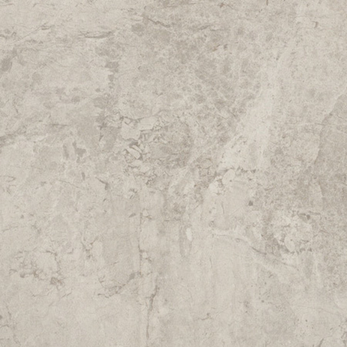Arenella Light Gray 12x12 Field Tile Matte