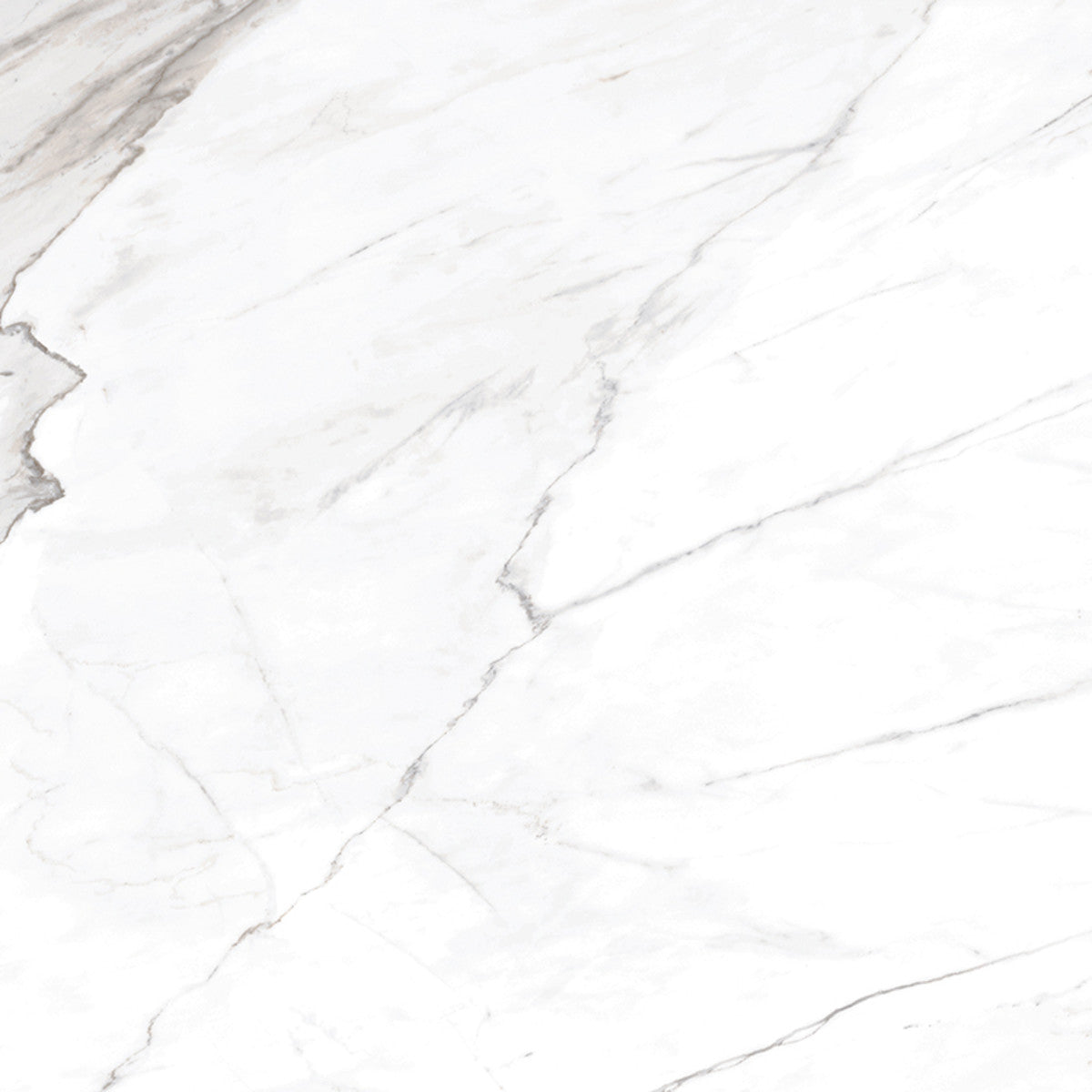 Epic Apuano 3x12 Field Tile Polished rectified
