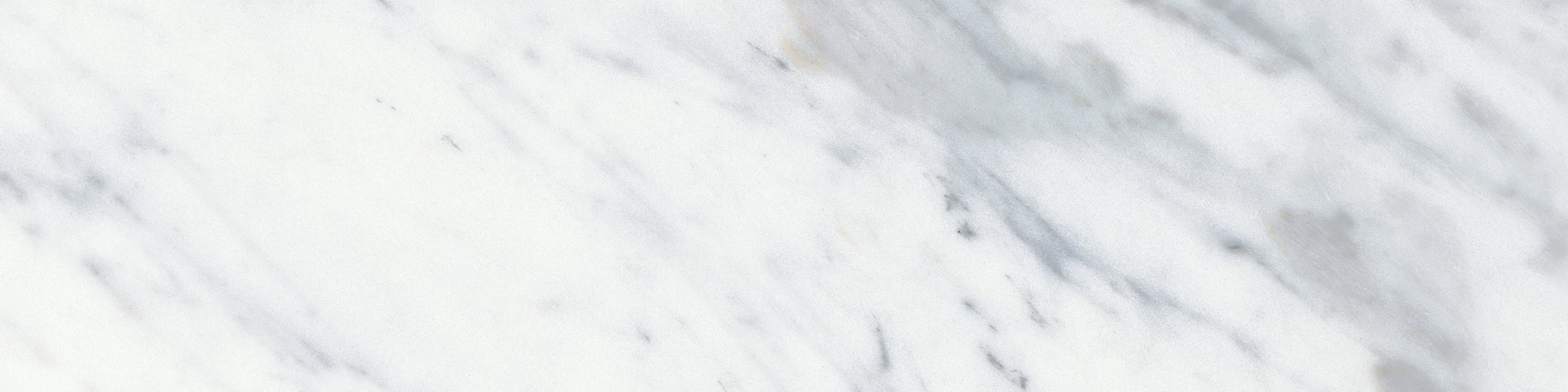 Virtue Bianco Virtue Bianco 3x12 Honed