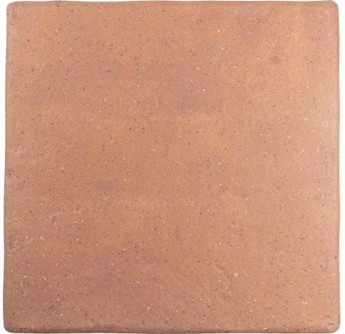 Roots Cotto 9x9 Field Tile Matte