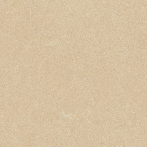 Argent 2.0 Winter Garden 12x12 Field Tile Rectified
