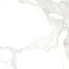 Calacatta Calacatta 12x12 Field Tile Honed Rectified