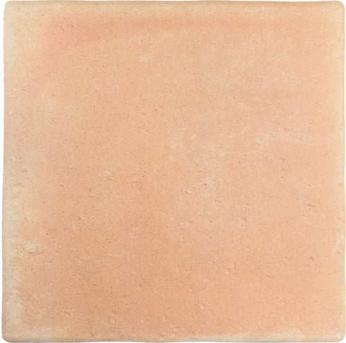 Roots Sand 9x9 Field Tile Matte