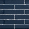 Dakota Lagoon 2x8-1/2 Field Tile