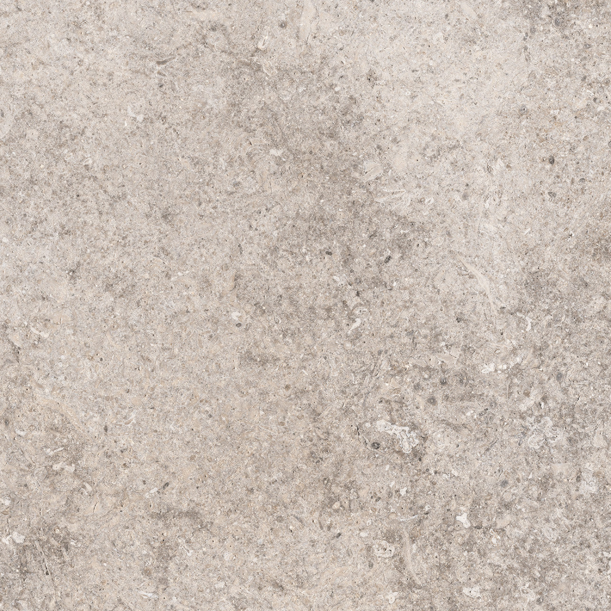 York Taupe 12x12 Field Tile Matte