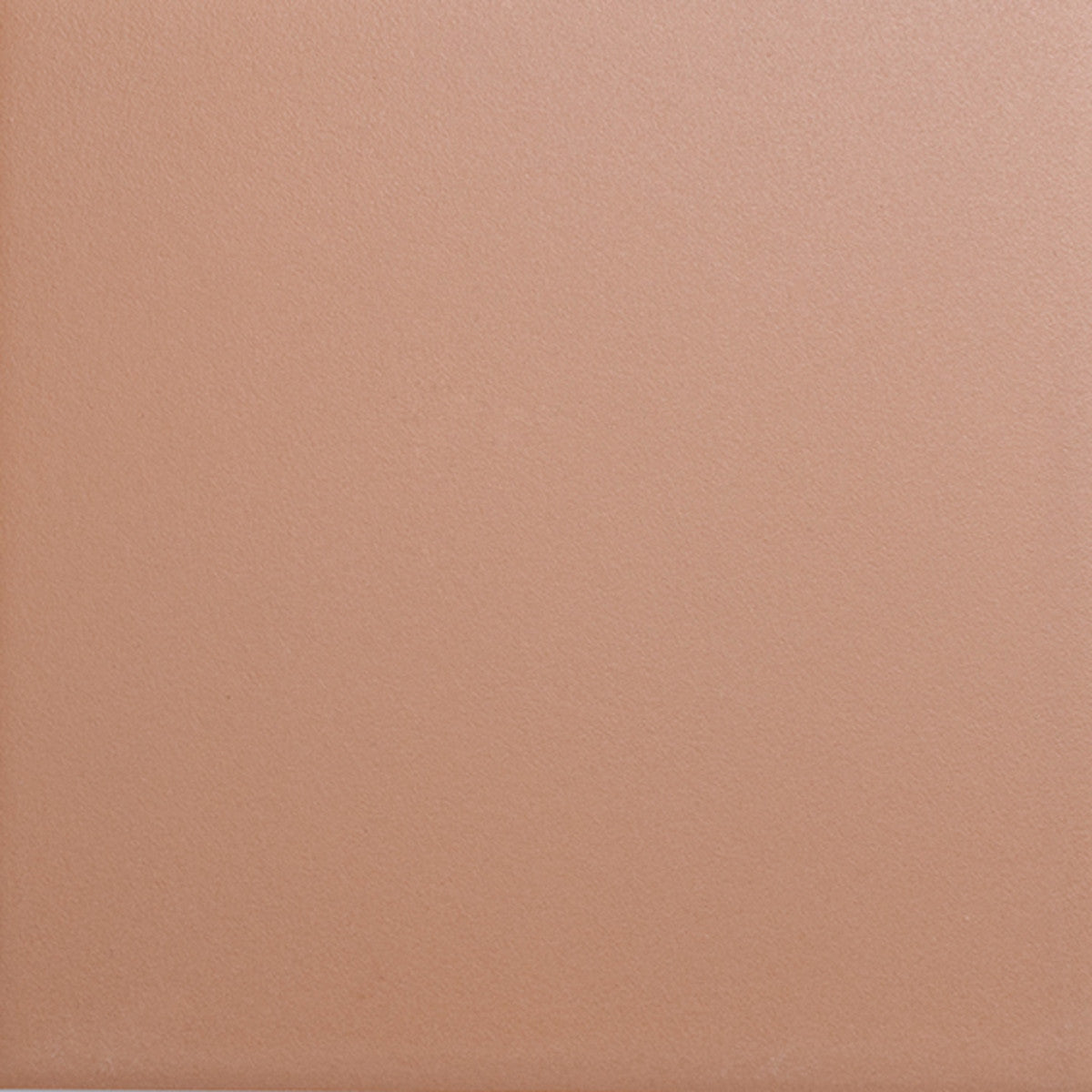 Bits Cider 2x5 Field Tile Matte