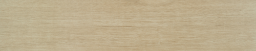 Nest Blissful Olive 3x15 Field Tile Matte Rectified