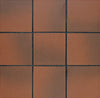 Quarry Tile/Sure Step Ember Flash 6x6 Field Tile Matte