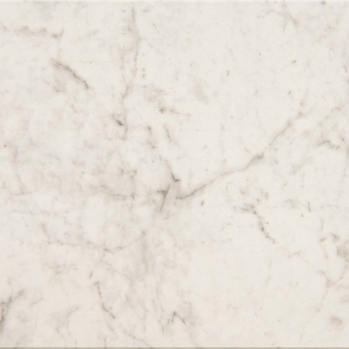 Mythique Marble Altissimo 12x12 Field Tile Polished Rectified