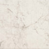 Mythique Marble Altissimo 12x12 Field Tile Matte Rectified