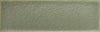 Skin Moss 2x5 Field Tile Matte