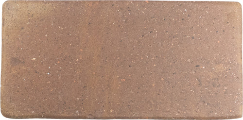 Roots Rust 4x9 Field Tile Matte
