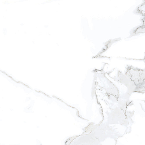 Luxury Calacatta 12x12 Field Tile Matte Rectified