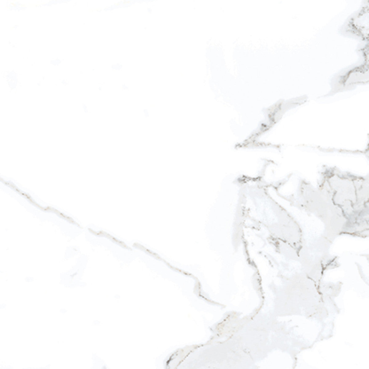 Luxury Calacatta 12x12 Field Tile Polished Rectified