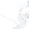Luxury Calacatta 12x12 Field Tile Polished Rectified