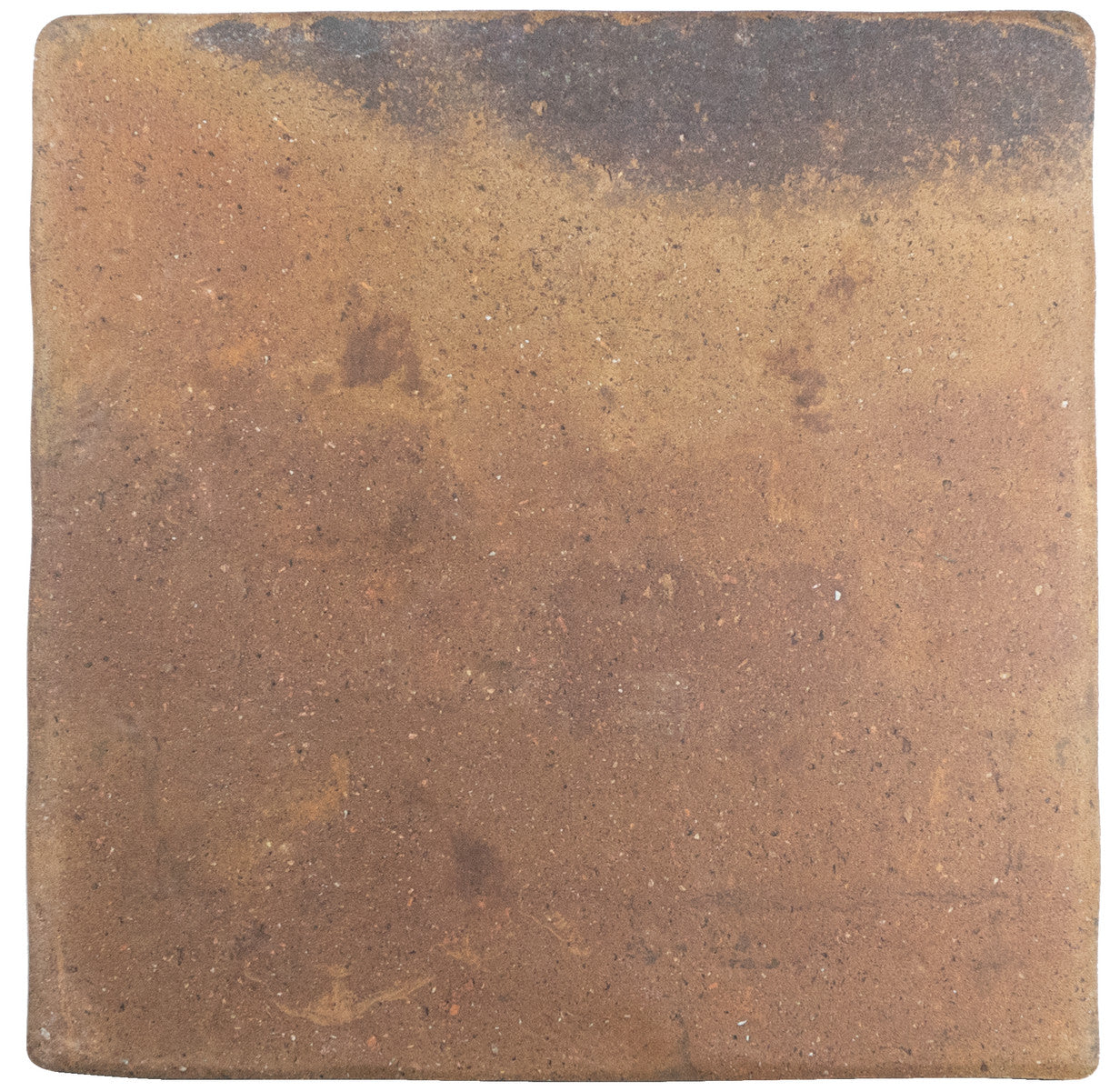 Roots Rust 4x9 Field Tile Matte