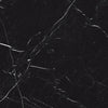 Luxury Nero Marquina 12x12 Field Tile Matte Rectified