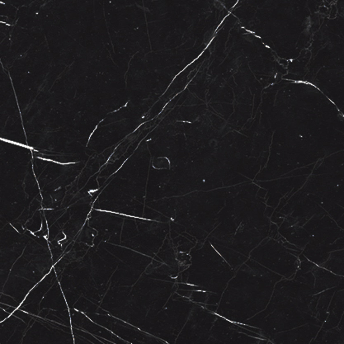 Luxury Nero Marquina 12x12 Field Tile Polished Rectified