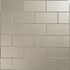 Astoria Moscow Mule 3x6 Field Tile Glossy