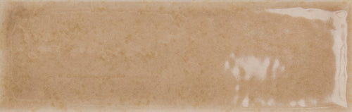Skin Biscuit 2x5 Field Tile Glossy