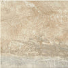 Danya Cove 12x12 Field Tile Matte