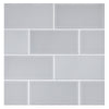TrueTones Ceramics Greyity Gloss 2x8 Field Tile Gloss