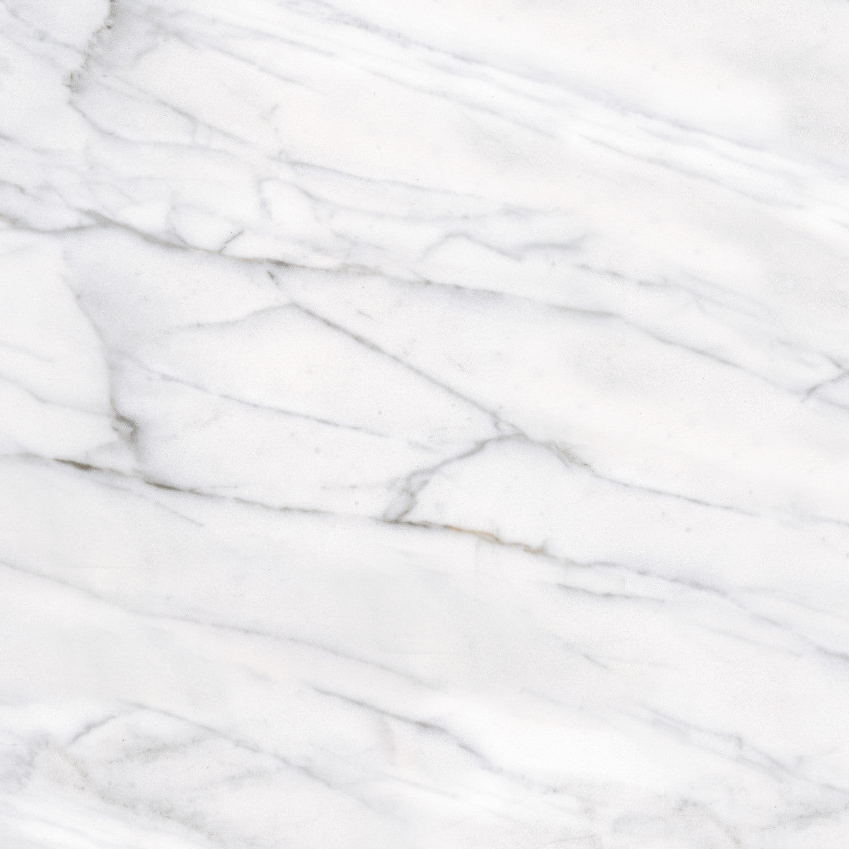 Classic Carrara 6X12 Glossy
