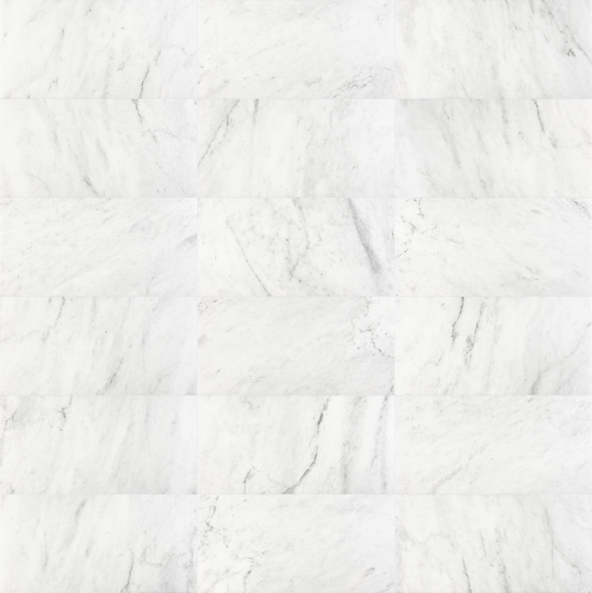 Bianco Venatino Bianco Venatino 3x6 Field Tile Honed