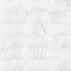 Bianco Venatino Bianco Venatino 3x6 Field Tile Tile Polished