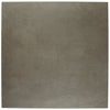 Notorious Leading Man 12x12 Field Tile Matte Rectified