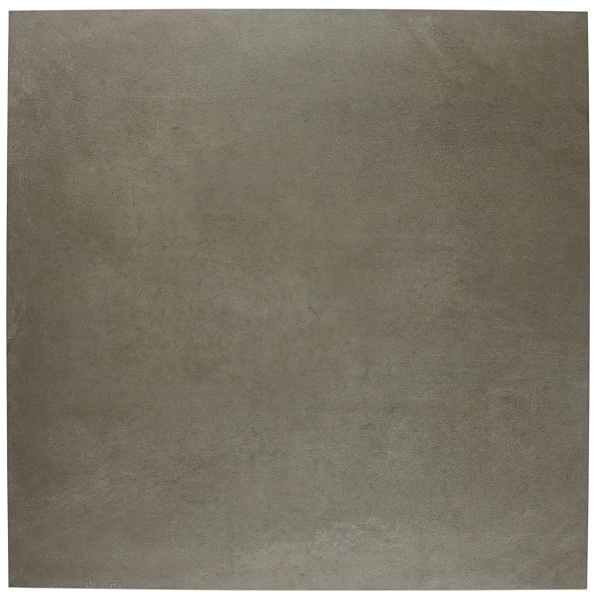 Notorious Leading Man 12x12 Field Tile Matte Rectified
