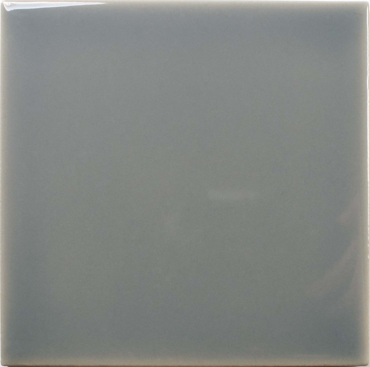 Fayenza Mineral Gray 2-1/2x5 Field Tile