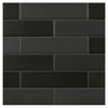 TrueTones Porcelain 16 Shades Of Black  Matte 2-1/2x10 Field Tile
