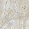Antico Classic 12x12 Field Tile