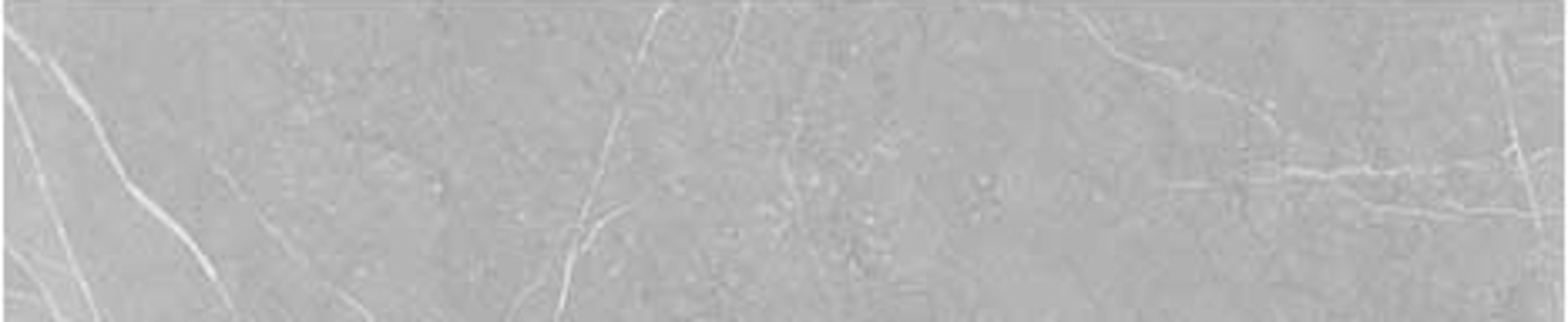 Love Affairs Petra Grey 4x20 Strip Field Tile Matte