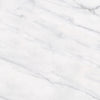 Classic Carrara 12X12 Matte