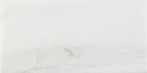 Corniche Exalt 3x6 Field Tile Polished