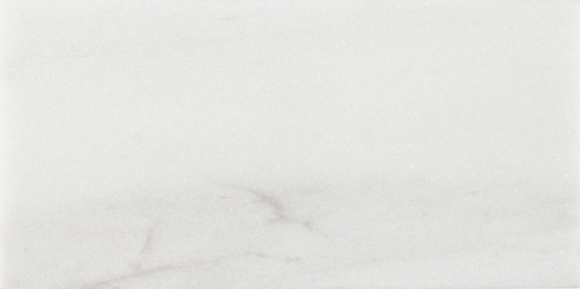 Corniche Exalt 3x6 Field Tile Polished