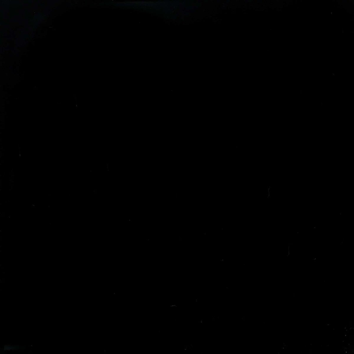 Color Story Black 3x6 Field Tile