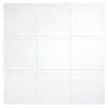 TrueTones Ceramics Light White Gloss 4-1/2x4-1/2 Zelli Field Tile Gloss