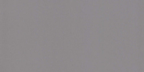 Color Story Storm Gray 3x6 Field Tile