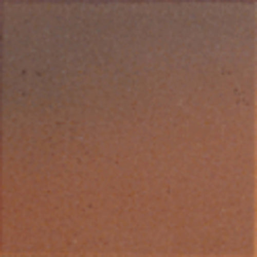 Quarry Tile/Sure Step Ember Flash 6x6 Field Tile Matte